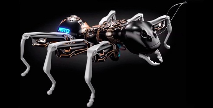 Le formiche robotiche funzionano tanto quanto quelle reali.
