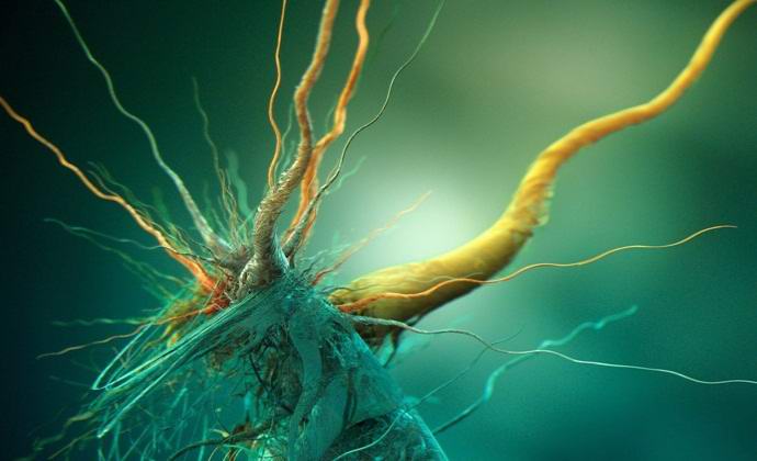 Scienziati russi hanno scoperto microrganismi alieni in Antartide