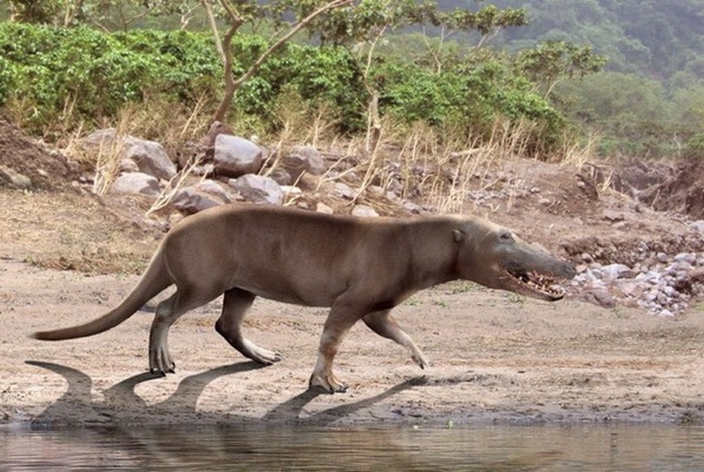 Gli scienziati russi hanno risvegliato le creature di oltre 40 mila anni