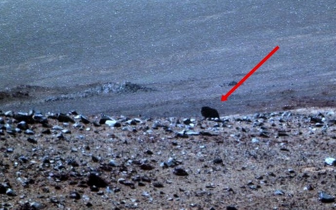 La NASA Rover ha sparato a un animale su Marte