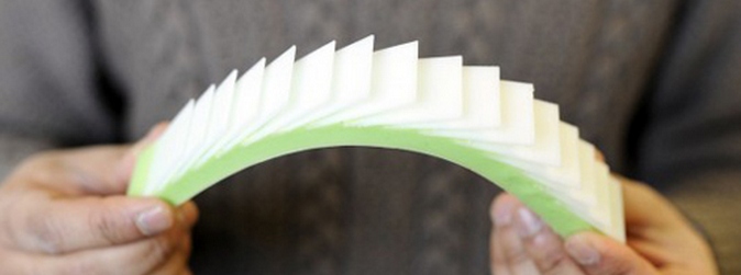 L'armatura migliore sono le squame!