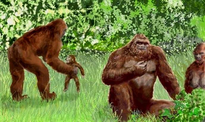 Una famiglia di pupazzi di neve è caduta nell'obiettivo della fotocamera