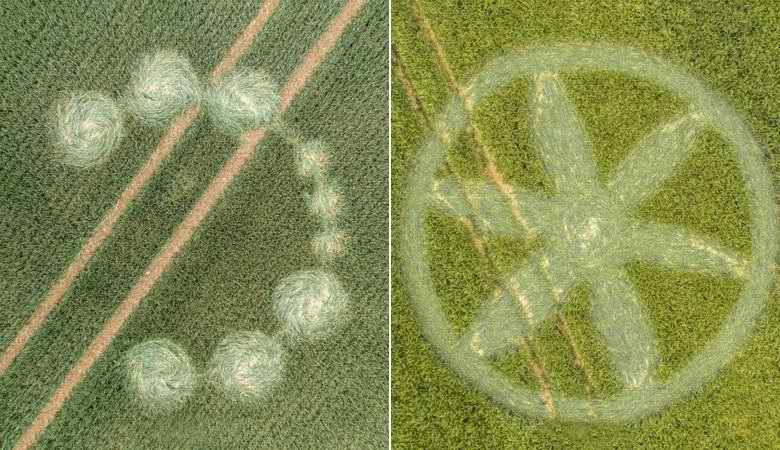 La stagione è aperta: nuovi cerchi nel grano stanno comparendo attivamente in Inghilterra