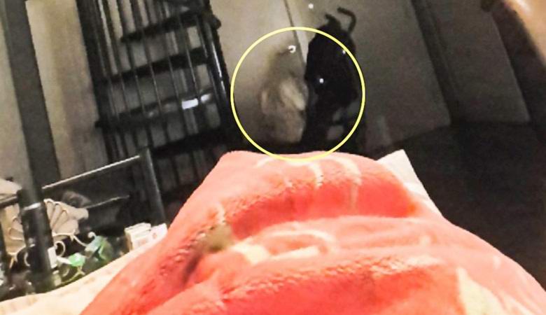 Fotografato da un inquietante fantasma seduto sul pavimento di un appartamento