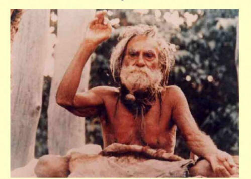 arte, vita, celebrità, centenari, Noah, Peng Zhu, Devraha Baba, Li Lingyuan, Henry Jenkins, Sarah