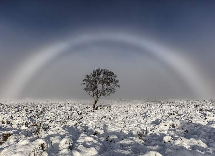 Lo scozzese ha catturato un raro arcobaleno bianco