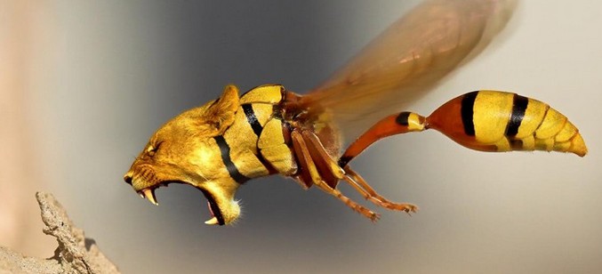 Scherzi di un artista di talento