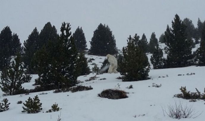 Bigfoot non fa male alle persone