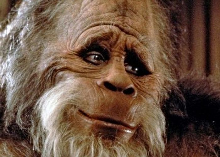 Bigfoot si è rivelato essere uno stupratore