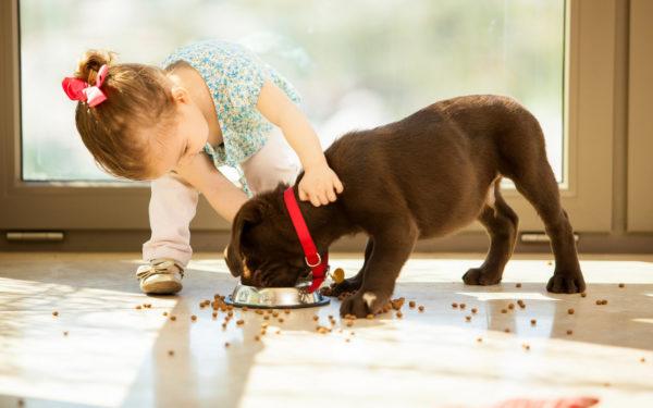 ragazza che alimenta il cane 