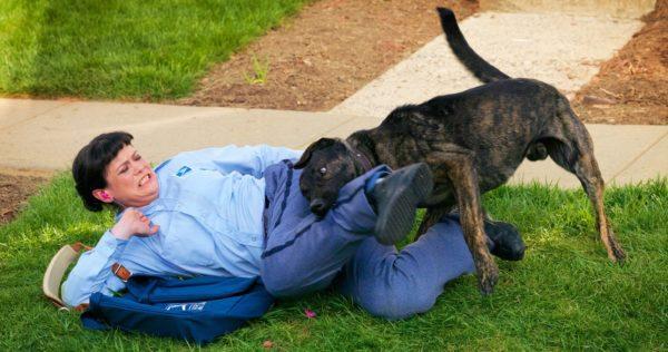 Perché sognare un attacco di cane 