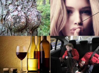 Scommetto che non conoscevi 20 parole di cui non hai mai sentito parlare