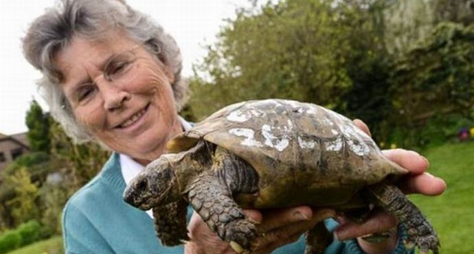 La tartaruga centenaria è tornata a casa dopo lunghi girovaghi
