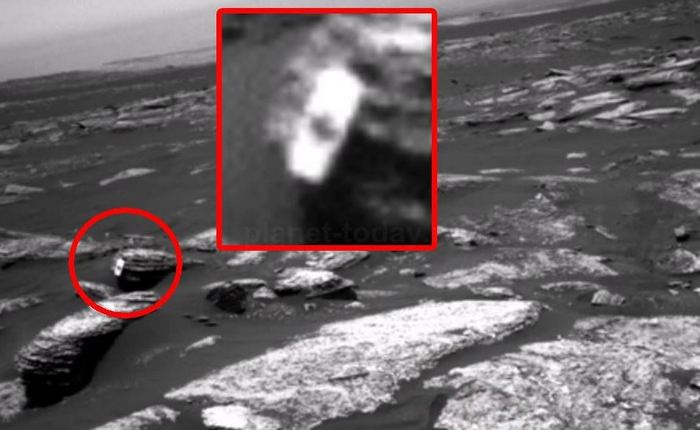 Uno strano oggetto con una foglia d'acero giace sulla superficie di Marte?