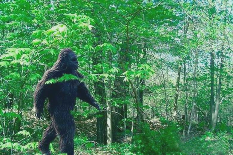 Una strana creatura umanoide è caduta nell'obiettivo della fotocamera