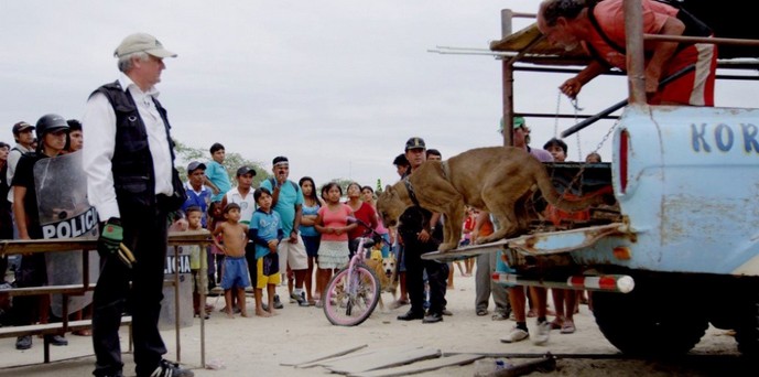 Il destino degli animali del circo itinerante