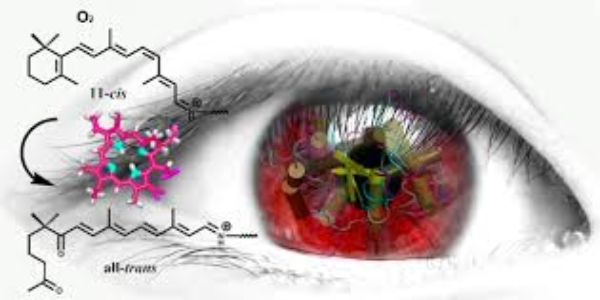 C'è un trattamento contro il cancro che dà alle persone la 