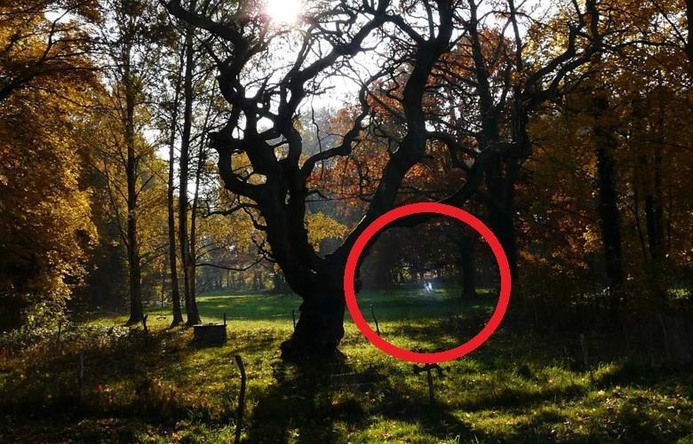Fantasmi luminosi di bambini che giocano nel parco