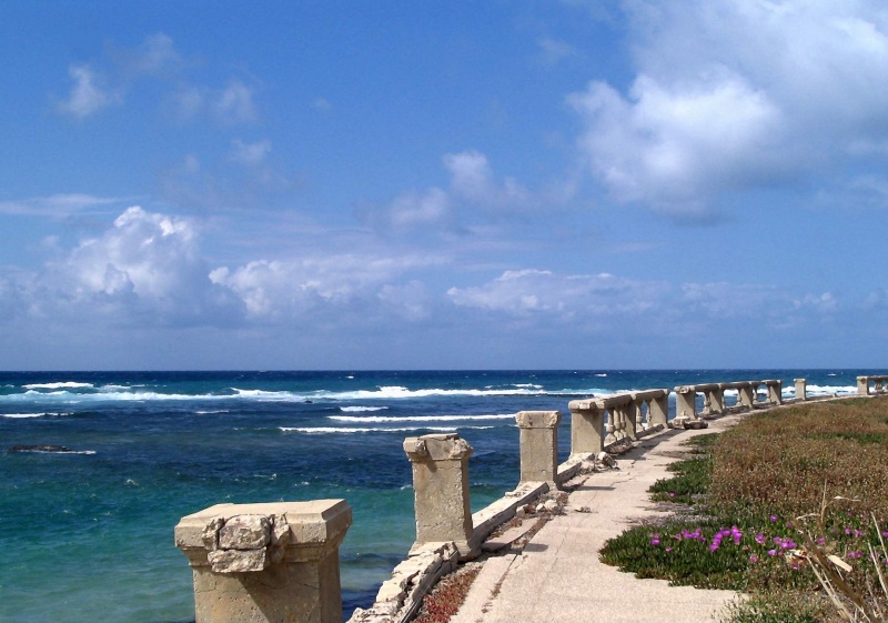 Suoni misteriosi sul Mar Mediterraneo
