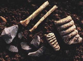 Il mistero della scomparsa tribù Nittaevo