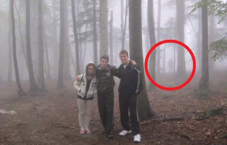 I turisti hanno fatto delle foto con una strana creatura in una foresta nebbiosa