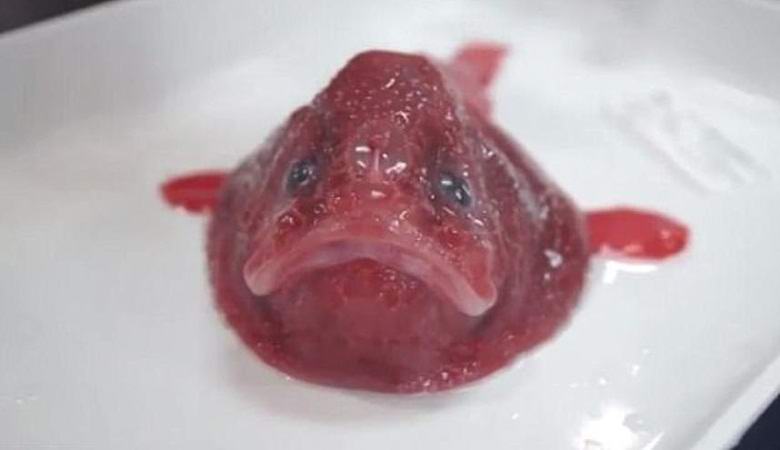 Sconosciuto alle creature scientifiche trovate al largo delle coste dell'Australia