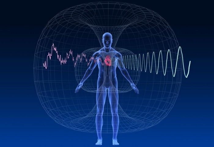 L'uomo ha un senso del campo magnetico terrestre.