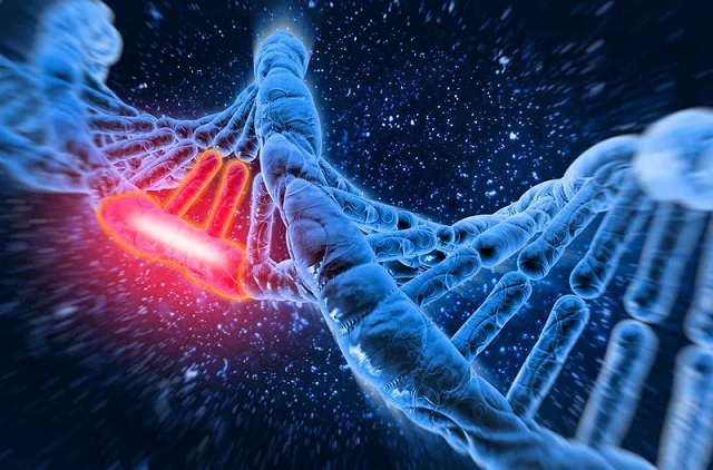 In un uomo dopo un trapianto di midollo osseo, il DNA di qualcun altro è stato trovato nel seme