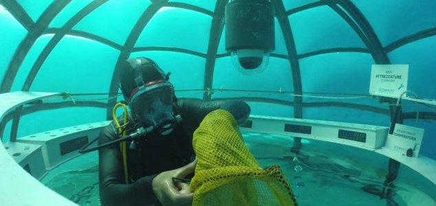 Gli scienziati coltiveranno piante commestibili per l'uomo sott'acqua