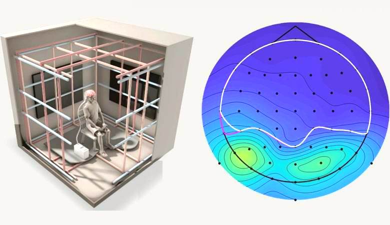 Gli scienziati hanno trovato un nuovo organo di senso nell'uomo