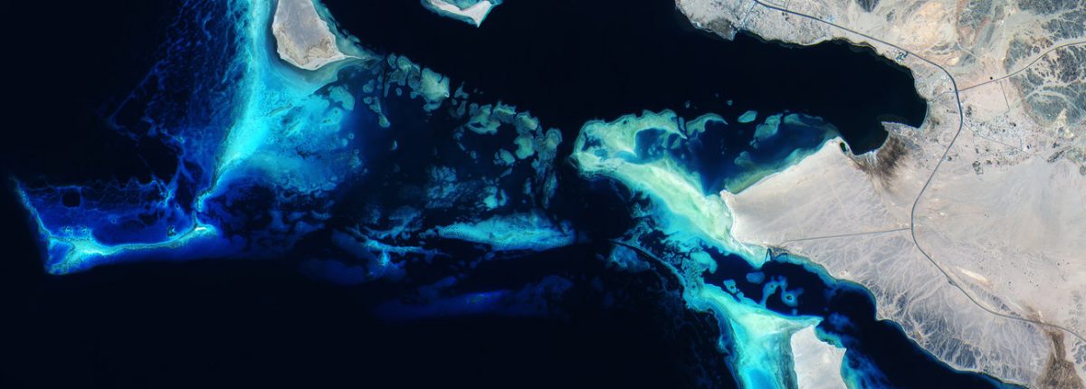 Gli scienziati scoprono una fonte inaspettatamente grande di gas serra naturali 