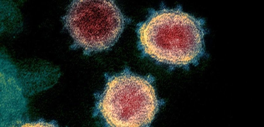 Gli scienziati hanno scoperto un 