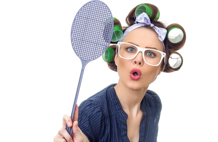 Gli scienziati hanno spiegato quanto siano utili i ragni domestici