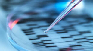 Gli scienziati hanno fatto crescere lo stomaco di una persona in un laboratorio