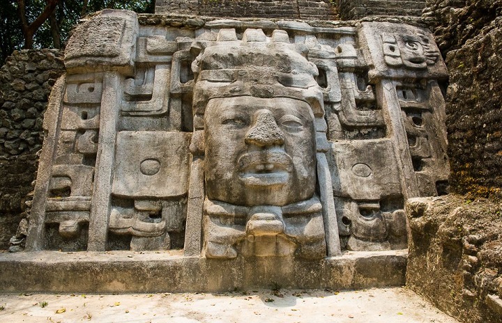 Gli scienziati hanno identificato la lingua