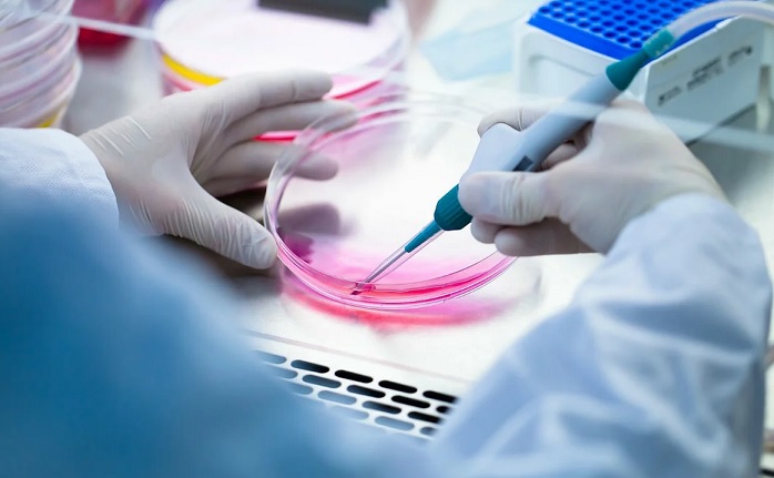 Gli scienziati superano il diabete con le cellule staminali in due settimane