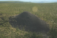 Gli scienziati hanno iniziato a risolvere il mistero della cosiddetta 'Valle della morte' 