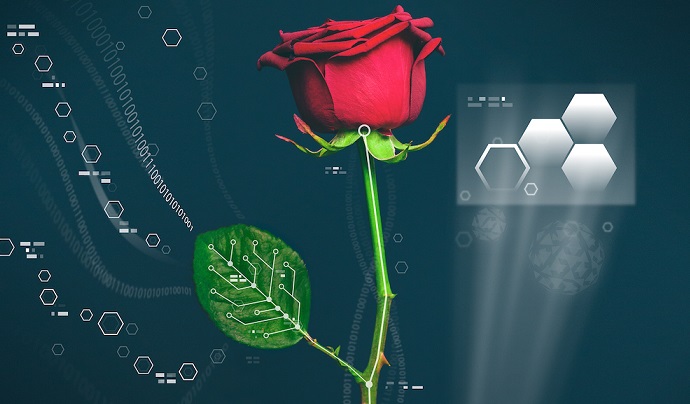 Gli scienziati hanno creato un fiore di cyborg