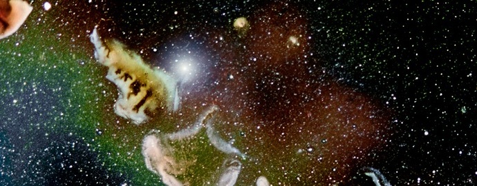 Foto incredibili: un microcosmo nell'obiettivo