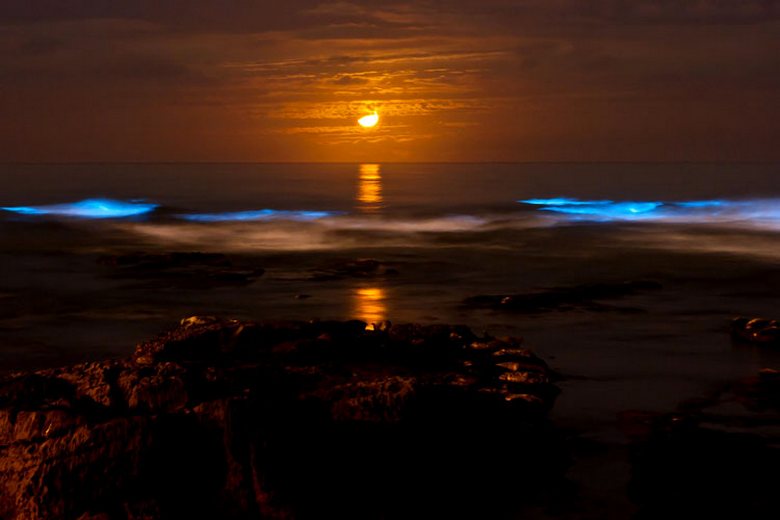 Incredibili fenomeni naturali che rasentano la fantascienza