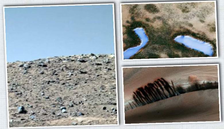 Gli ufologi hanno mostrato