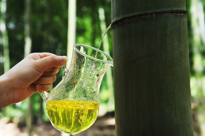 Unico liquore cinese Bambooze invecchiato in tronchi di bambù vivo