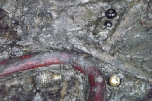 Perle d'oro e corniola (minerale marrone-rosso), rinvenute nella sepoltura della prima età del bronzo in Georgia. Foto: Museo Nazionale Georgiano