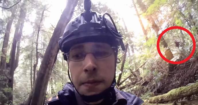 Yeti notato per caso nello show televisivo americano