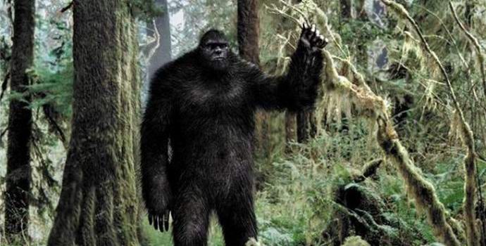 Bigfoot è stato girato nella foresta americana