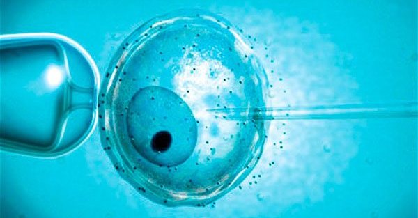 In Inghilterra, ora puoi concepire un bambino di tre genitori