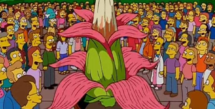 In Belgio è sbocciato un gigantesco fiore puzzolente