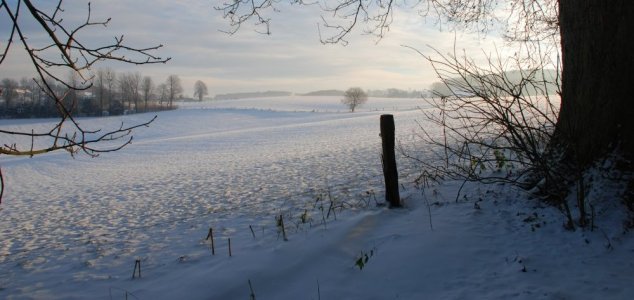 Nei prossimi 15 anni arriverà una piccola era glaciale