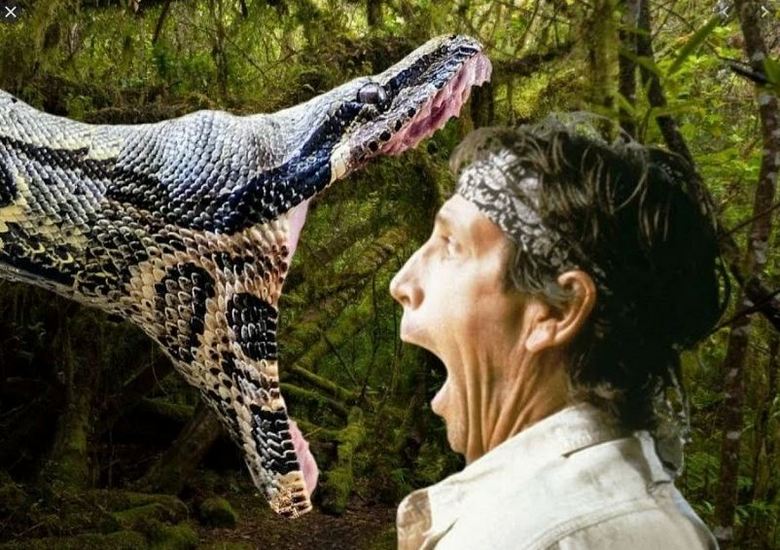 In Brasile, l'anaconda ha attaccato un uomo e solo gli amici arrivati ​​in tempo hanno salvato lo sfortunato