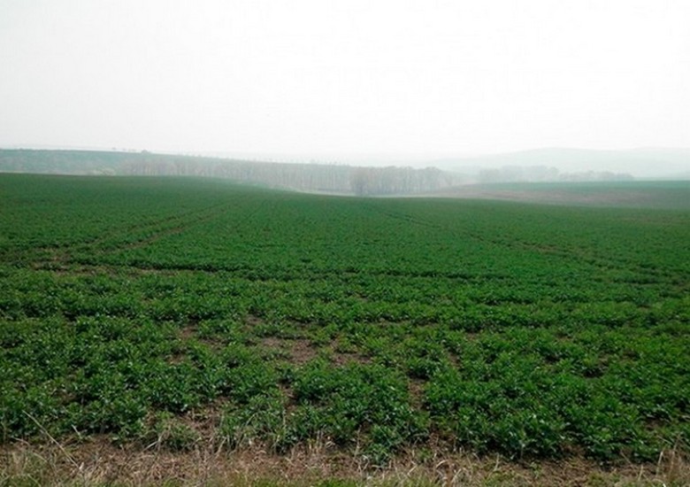 Nella Repubblica Ceca ha trovato un sito ancora di proprietà della Gestapo del Terzo Reich